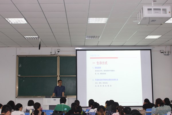 IMG_0335.JPG IMG_0335.JPG